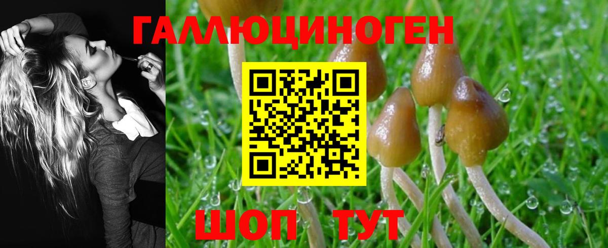 Чусовой  Псилоцибиновые грибы GOLDEN TEACHER  Псилоцибиновые грибы ЛСД  Вход с VPN 