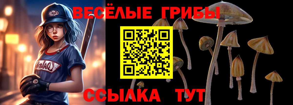 Псилоцибиновые грибы мухоморы Чусовой